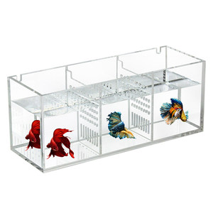 Boîte d'isolement pour la reproduction des poissons tétra, acrylique ultra-blanc, petite, de bureau, sans changement d'eau, combinaison créative écologique - Product Image 5