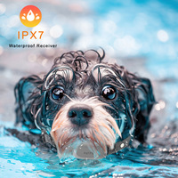 CE FCC ROHS Wasserdichter IPX7 Kunststoff Fernbedienung Pet Anti Bark Warnton Vibrieren Statischer Schock 3 Modi Hunde trainings halsband