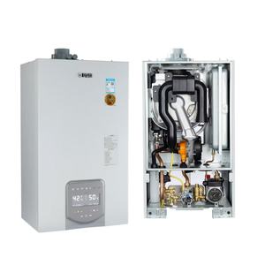 Intégration de la maison intelligente Efficacité énergétique et économies Adaptation aux conditions climatiques extrêmes Gaz à condensation Chaudière mixte - Product Image 1