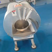 YOUBAN Industriële Automatische Groentesnijmachine Wortel Gember Aardappel Snijder/Schaaf voor Chips en Reepjes Verwerking