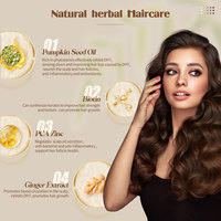 Shampooing au gingembre à base de plantes de marque privée Revitalisant anti-chute de cheveux Renforce les cheveux Épaisseur des cheveux Croissance des cheveux Gingembre naturel biologique