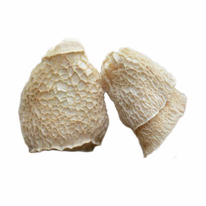 Shu sun ke-venta al por mayor <span class=keywords><strong>de</strong></span> alimentos secos, dictyophora indusiata, conchas <span class=keywords><strong>de</strong></span> <span class=keywords><strong>hongos</strong></span> <span class=keywords><strong>de</strong></span> bambú, sombrero <span class=keywords><strong>para</strong></span> <span class=keywords><strong>la</strong></span> venta - Product Image 2