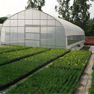 Système d'agriculture hydroponique pour la culture de fraises et de champignons, kit de serre en film plastique PE transparent - Product Image 3