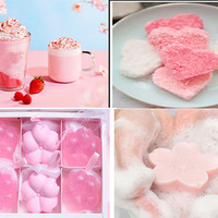 Marque privée Poudre de fleur de cerisier Superfood naturelle Poudre de Sakura pour boisson alimentaire