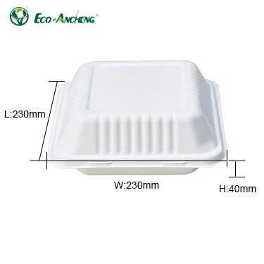 PFAS Free Sugarcane 100% Biodegradable PFAS-Free 700ml Clamshell Food - View #4