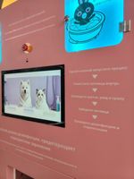Máquina expendedora de lavado de mascotas de autoservicio Grey Ear, cabina de aseo automática para perros operada con monedas, baño interior/exterior 304