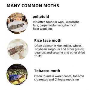 Innenraum-Schädlingsbekämpfung Klebefallen für Motten Pheromone Speisekammer-Motten Lebensmittelschrank-Schutz Hohe Kosteneffizienz Landwirtschaft - Product Image 5