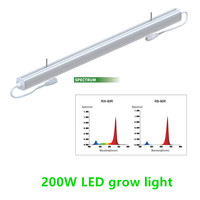 Barre LED de culture pour plantes d'intérieur, spectre complet, 200W, dimmable, Lm301h Lm301B
