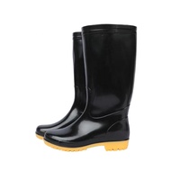 Bottes pas chères, imperméables, Gumbots Welly, stockiste, bottes de pluie en PVC