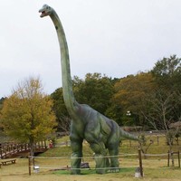 Modèle de dinosaure animatronique Velociraptor en acier de haute qualité, contrôle infrarouge, taille personnalisable, pour centre commercial intérieur/extérieur