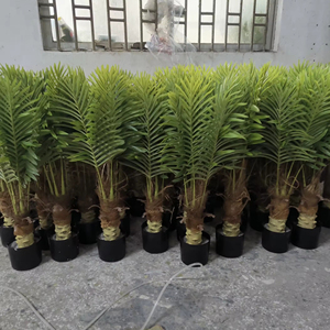 Cây nhân tạo cây cọ cao lớn ngoài trời cây nhân tạo cây nhân tạo ngoài trời - Product Image 5