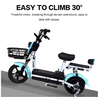 Scooter City Vélo électrique 250W Moteur sans balais électronique haute vitesse Cadre en acier Batterie au plomb Utilisation adulte 18 vitesses Double
