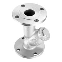 Válvula de Brida Tipo Y Multifunción de Acero Inoxidable 304 DN125 con Filtro, Presión de Trabajo PN16, Manual y Personalizada