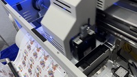 Impresora UV de rollo a rollo de alta resolución y fácil operación con ancho de impresión A3 para materiales de vinilo PP, PET, PVC, BOPP