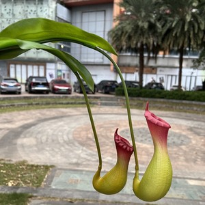 Nhân Tạo Nepenthes Màu Xanh Lá Cây Giả Nhựa Treo Nepenthes Hoa Nhà Máy Cho Lễ Tạ Ơn Văn Phòng Khách Sạn Trang Trí - Product Image 4