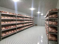Chambre froide commerciale, congélateur, chambre froide de réfrigération, chambre froide industrielle