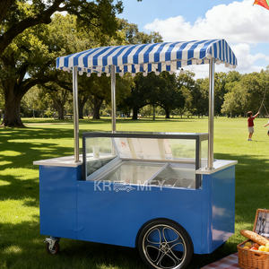 Chariot de vente de crème glacée mobile à pousser avec parasol, pour usage extérieur - Product Image 4