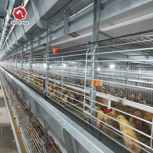 Capa <span class=keywords><strong>de</strong></span> jaula <span class=keywords><strong>de</strong></span> codorniz, jaula <span class=keywords><strong>de</strong></span> pollo para granja <span class=keywords><strong>de</strong></span> pollos <span class=keywords><strong>de</strong></span> <span class=keywords><strong>Guinea</strong></span> - Product Image 5