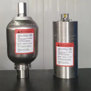 Amortisseur de pulsation en acier inoxydable 304 Amortisseurs à diaphragme pour système de pression de liquide Système d'accumulateur d'énergie