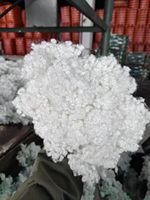 Fibre de polypropylène conjugué creux (HCS) 100 % recyclée OEKO-TEX, brin coupé 15D, 3-12 mm, certifiée ISO9001 pour la construction