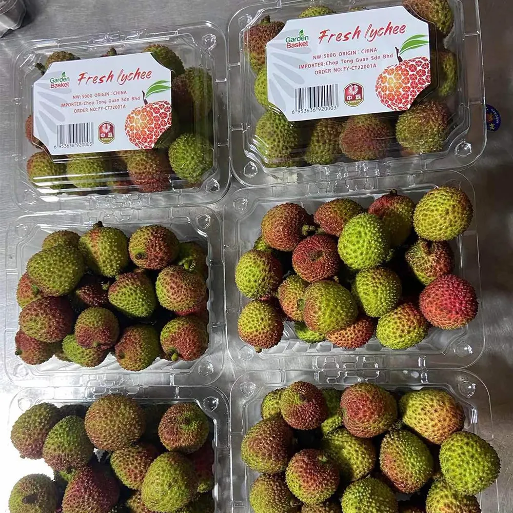 Chinesische frische süße Lyches Lichee Litchi Lichi kaufen Sie frisches Lychee Obst (Fi Tsz Siu)