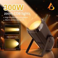 AICPOSE Produsen Profesional Harga Grosir Lampu Panggung 300w Cob Par Cahaya Putih Dingin Hangat LED Cob Par Light