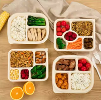 Tendance 5 compartiments canne à sucre Bagasse repas plateau couvercle jetable fête fournitures Kit pour événements voyage cantines supermarchés