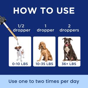 OEM <span class=keywords><strong>Dog</strong></span> infusi di sapore glucosamina condroitina MSM gocce Pet articolazione dell'anca pelle intestino del rene e del fegato immunitari integratori di cane - Product Image 5