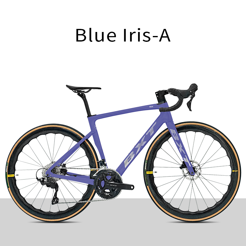 Iris bleu-A