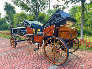 Voiture électrique vintage à 4 roues de style royal, la plus vendue, pour mariages et excursions, double usage, capacité 4-6 personnes - Product Image 6