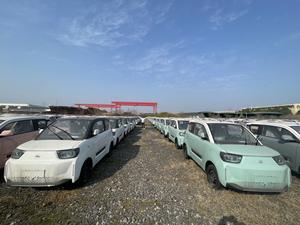 Petite voiture électrique, véhicule à énergie nouvelle, Cheetah Leopaard Mini Ev Car - Product Image 3