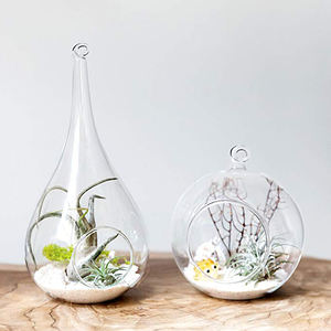 Terrarium suspendue en verre, goutte d'eau, plante à <span class=keywords><strong>air</strong></span>, terrarium - Product Image 3