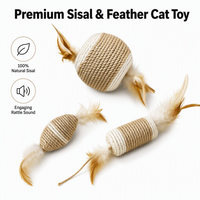 Lots de jouets écologiques en sisal, jouets interactifs résistants aux morsures et aux griffures pour chatons