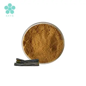 Youshuo Natural Source 100% Water Soluble Seaweed / Kelp Extract Powder 20:1