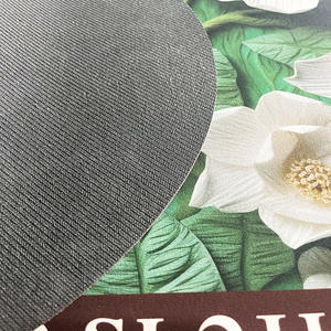 टैस एंटीडर्प्रेसेंट एक सेफेज रैसाइड डाइन टेस डे सैलून टेप लैबल टेस डे सैलून मिट्टी मैट डायटोमा - Product Image 4