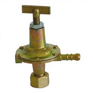 Regulador de Alta Presión de Latón con Protector de 10 mm para GLP, Propano, CO2 y Gas Natural PROJECT03 SRL UNIPERSONALE Modelo 1803350 - Product Image 1