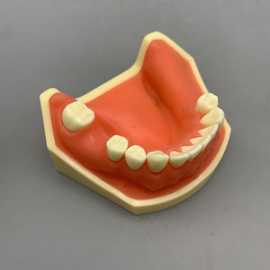 Mô hình thực hành cấy ghép nha khoa; mô hình răng cửa hàm dưới và mô hình thực hành khoan - Product Image 1