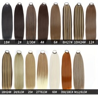Perruque tressée longue et droite de 24 pouces/60 cm en fibre haute température, style chignon élastique, peut être permanentée et teinte