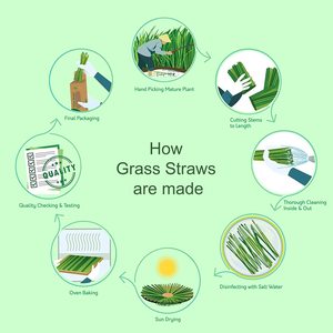 Sorbete orgá<span class=keywords><strong>nico</strong></span> Compostable para cóctel, caña De beber, paja De caña - Product Image 5