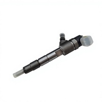 Inyector de Combustible OE 0445110691 para Motor ISF 2.8 Foton Tunland GAZ, Repuestos Originales de Gasolina, Nuevo, de Acero