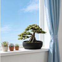Pot de fleurs elliptique pour bonsaï