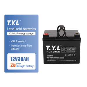T.Y.L <span class=keywords><strong>AGM</strong></span> <span class=keywords><strong>batterie</strong></span> au plomb-acide plaque 12V <span class=keywords><strong>30AH</strong></span> <span class=keywords><strong>batterie</strong></span> au plomb-acide inondée 12v <span class=keywords><strong>30ah</strong></span> <span class=keywords><strong>batterie</strong></span> au plomb-acide scellée pour caméra de sécurité solaire - Product Image 1