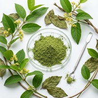 Extrait de feuilles de Gymnema Sylvestre en poudre 25% 75% Acide Gymnémique Qualité Alimentaire HPLC Sauvage