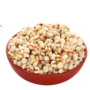 Gran oferta en semillas de Coix de VIET SEAFARM de alta calidad para la agricultura para exportar desde Vietnam - Product Image 1