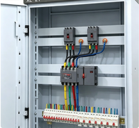 Armoire de commande PLC personnalisée, appareillage basse tension, coffret de commande électrique, armoire de distribution d'énergie, indice de protection IP55, 100A