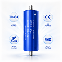 Batería LTO Grado A 66160, 45Ah 2.3V, Celda de Titanato de Litio, Descarga 10C, Reemplazo para Yinlong, para Audio de Coche, DIY, Paquete de 12V 24V