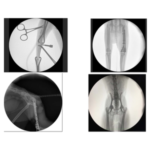 Máquina de Fluoroscopia PFD <span class=keywords><strong>C</strong></span> <span class=keywords><strong>Arm</strong></span> de 3.5kw/5kw para Cirurgia Radiológica com Detector Digital de Painel Plano Sistema <span class=keywords><strong>C</strong></span> <span class=keywords><strong>Arm</strong></span> Raio-X Veterinário - Product Image 4