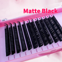 Extensions de cils volume effet mat, faciles à poser, doux, noir cachemire, noir jais 0.03, méga volume