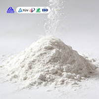 Poudre de Wollastonite pour la production de peintures, encres, revêtements, pigments, dispersions, apprêt et résines – Remplisseur de revêtement à base de Wollastonite