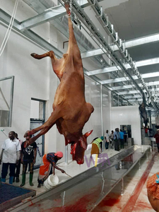 Động vật Lò mổ máng máu cho gia súc thiết bị Lò mổ - Product Image 4